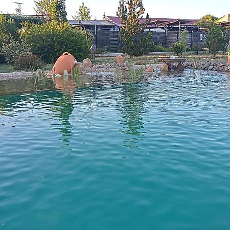 Hotel Albergue Bioclimatico Sabinares Del Arlanza Puentedura Екстер'єр фото