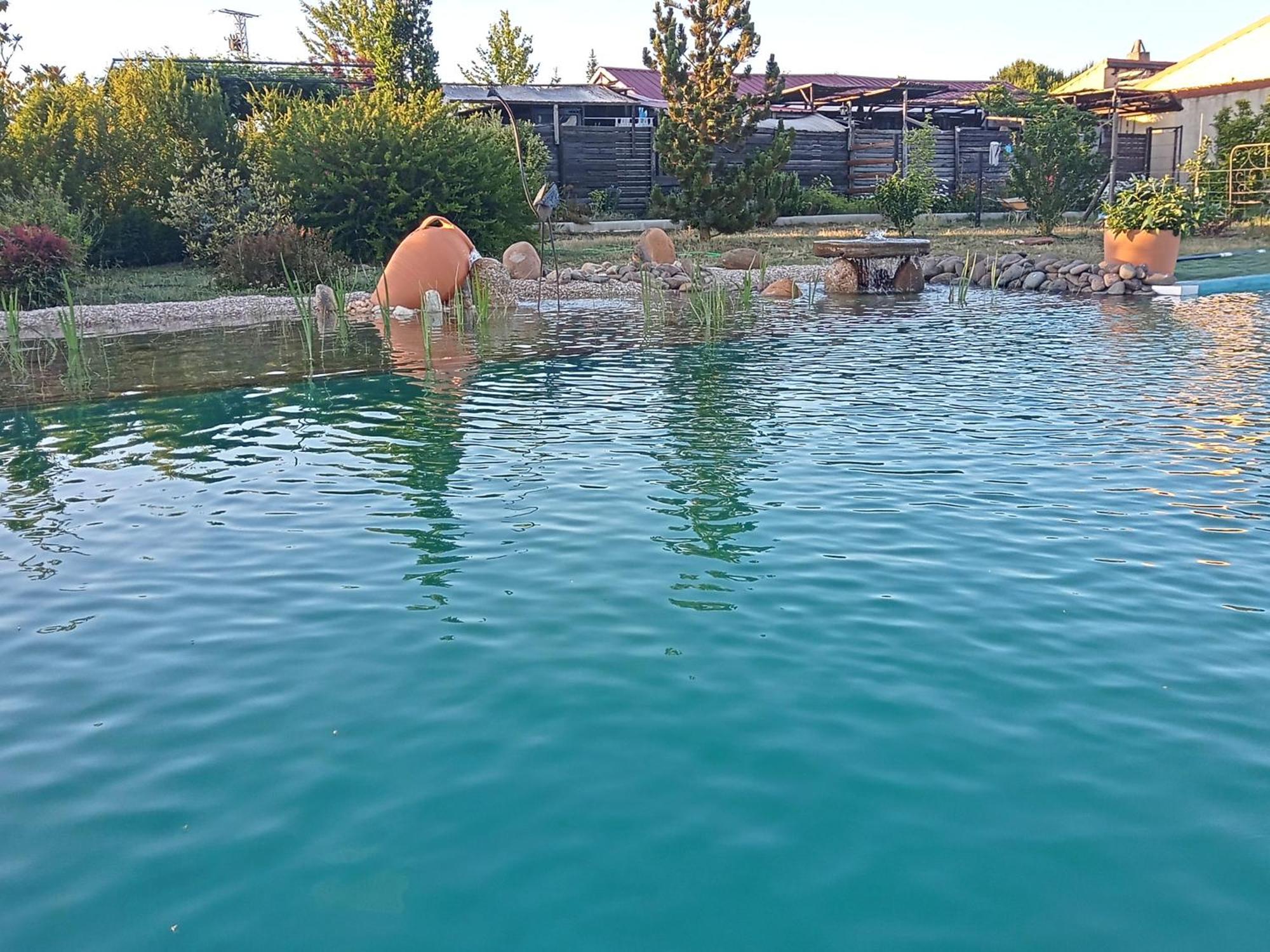 Hotel Albergue Bioclimatico Sabinares Del Arlanza Puentedura Екстер'єр фото