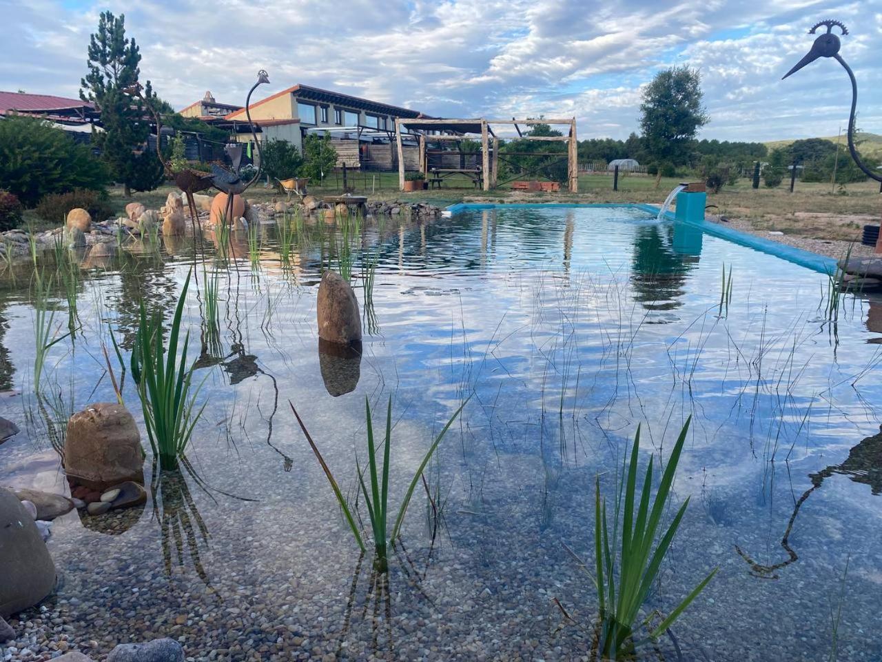Hotel Albergue Bioclimatico Sabinares Del Arlanza Puentedura Екстер'єр фото
