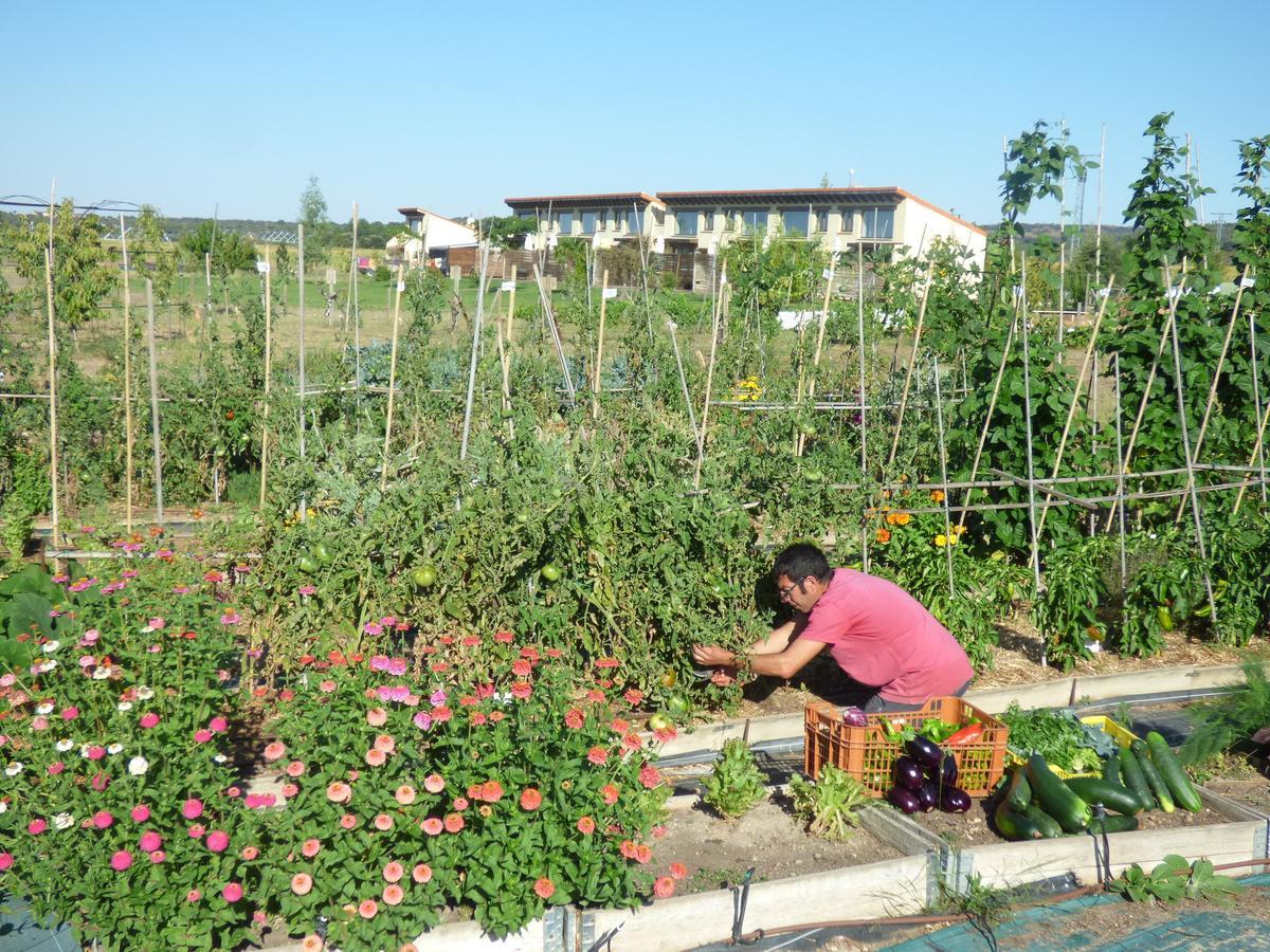 Hotel Albergue Bioclimatico Sabinares Del Arlanza Puentedura Екстер'єр фото