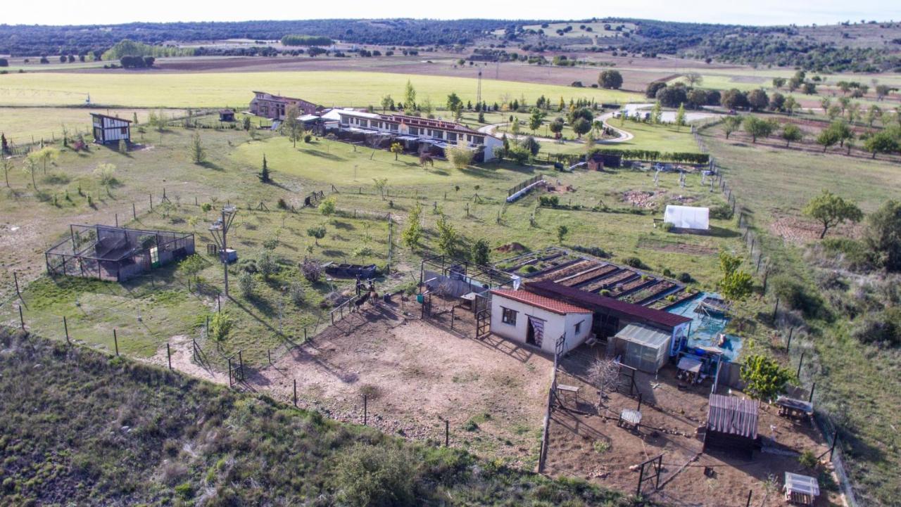 Hotel Albergue Bioclimatico Sabinares Del Arlanza Puentedura Екстер'єр фото